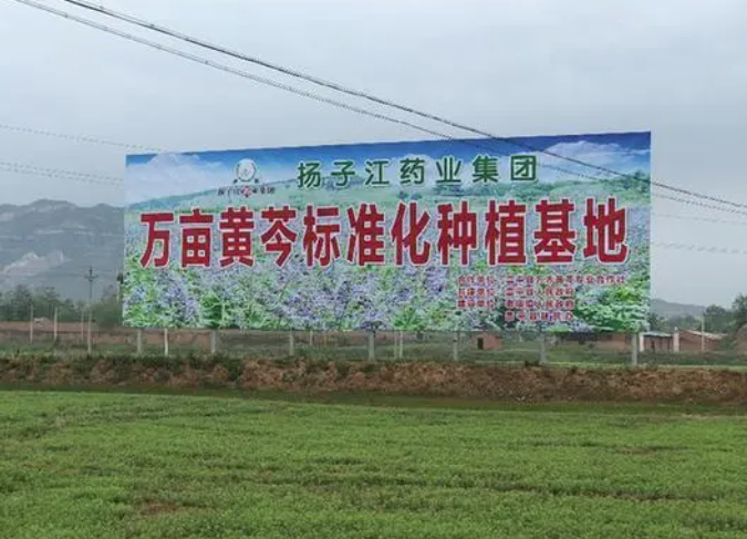 揚子江藥業(yè):彰顯藥企責(zé)任擔(dān)當(dāng) 掌握精準扶貧“金鑰匙” 揚子江藥業(yè):彰顯藥企責(zé)任擔(dān)當(dāng) 掌握精準扶貧“金鑰匙”