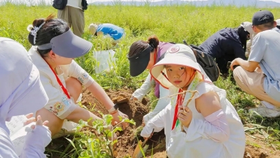 深度溯源有機品質(zhì)，第二屆717龍鳳堂有機黃芪節(jié)在固陽舉辦