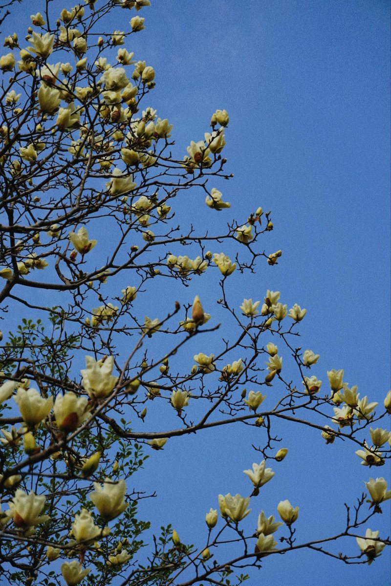 20240703-144745 20240703-144745