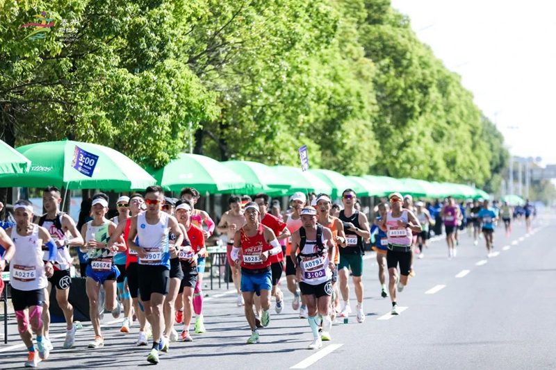 揚(yáng)子江龍鳳堂冠名2024泰州馬拉松賽,2萬人燃情開跑